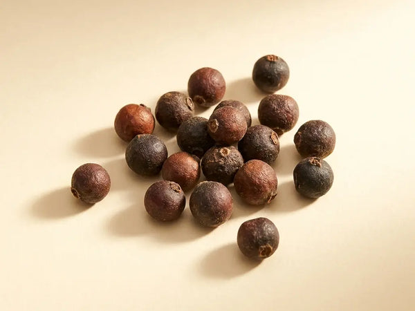 Mungapipra vili