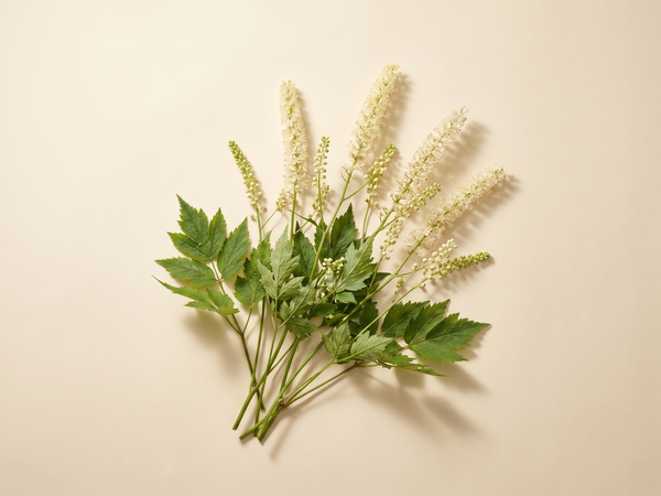 Black Cohosh